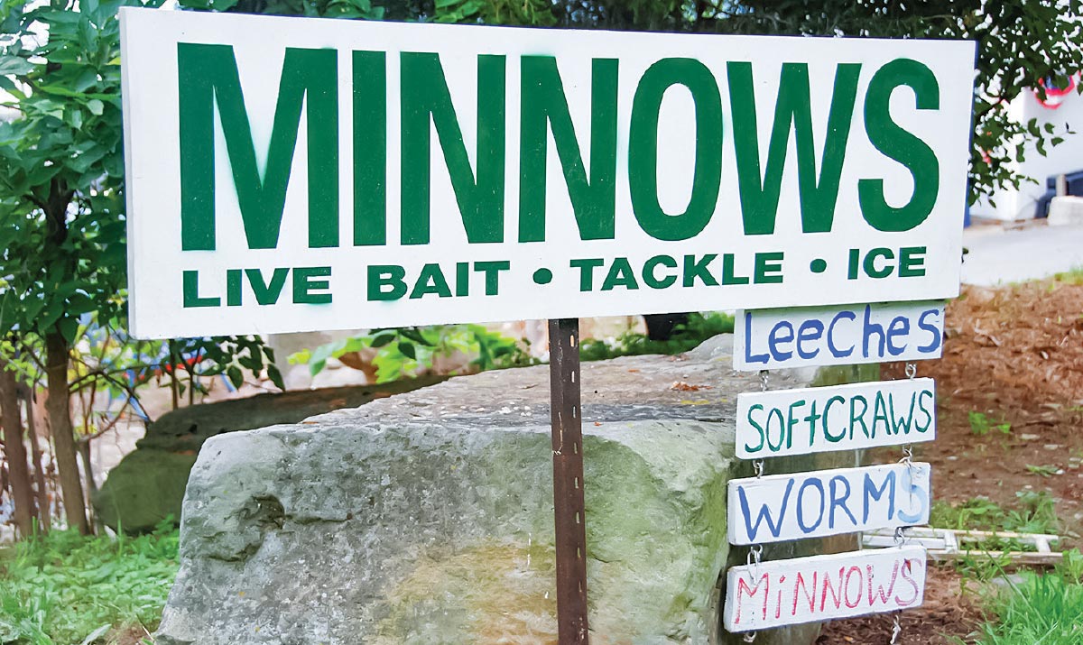Minnows minnows sign