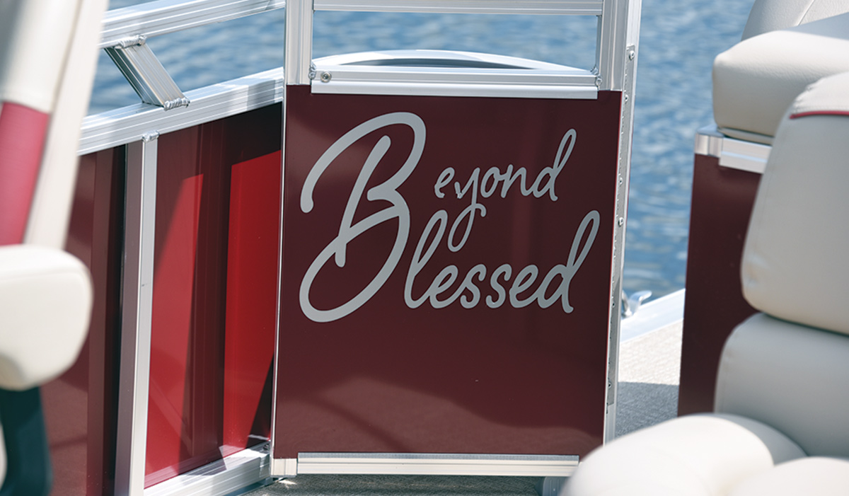 Beyond Blessed illustration on Avalon Venture Cruise