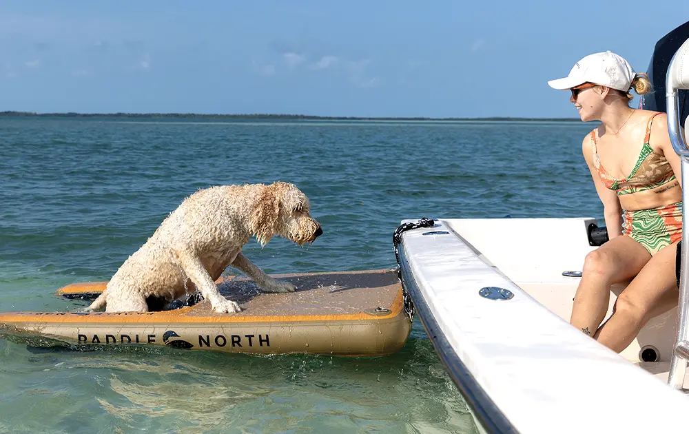 cropped view of a woman wearing a bathing suit, baseball cap and sunglasses while sitting near the edge of a boat, she looks to the side of the boat as a blonde curly haired medium to large sized dog floats on an Up Dog inflatable doggy pad