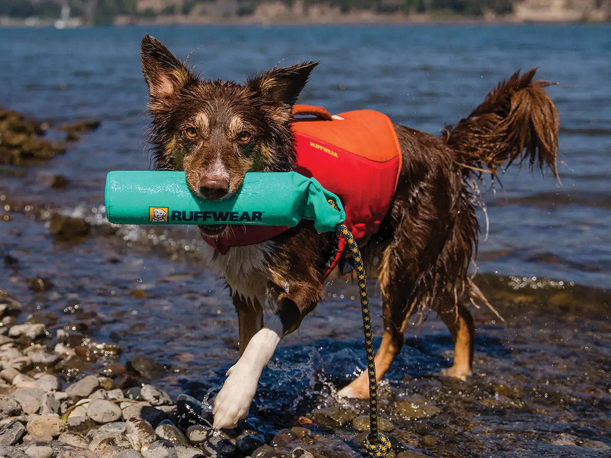 a brown dog stands on a rocky shore wearing an orange Float Coat from Ruff Wear with a Ruff Wear toy in its mouth