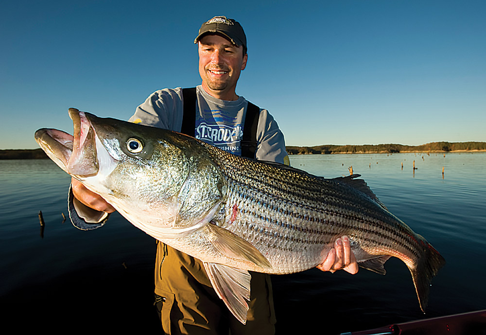 man holding large striped bass