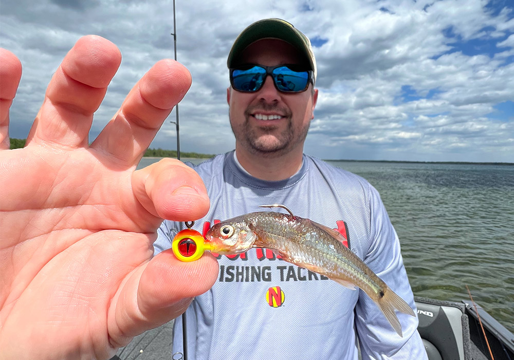 A close-up shot shows a man holding a small fish that has been caught on a fishing lure.