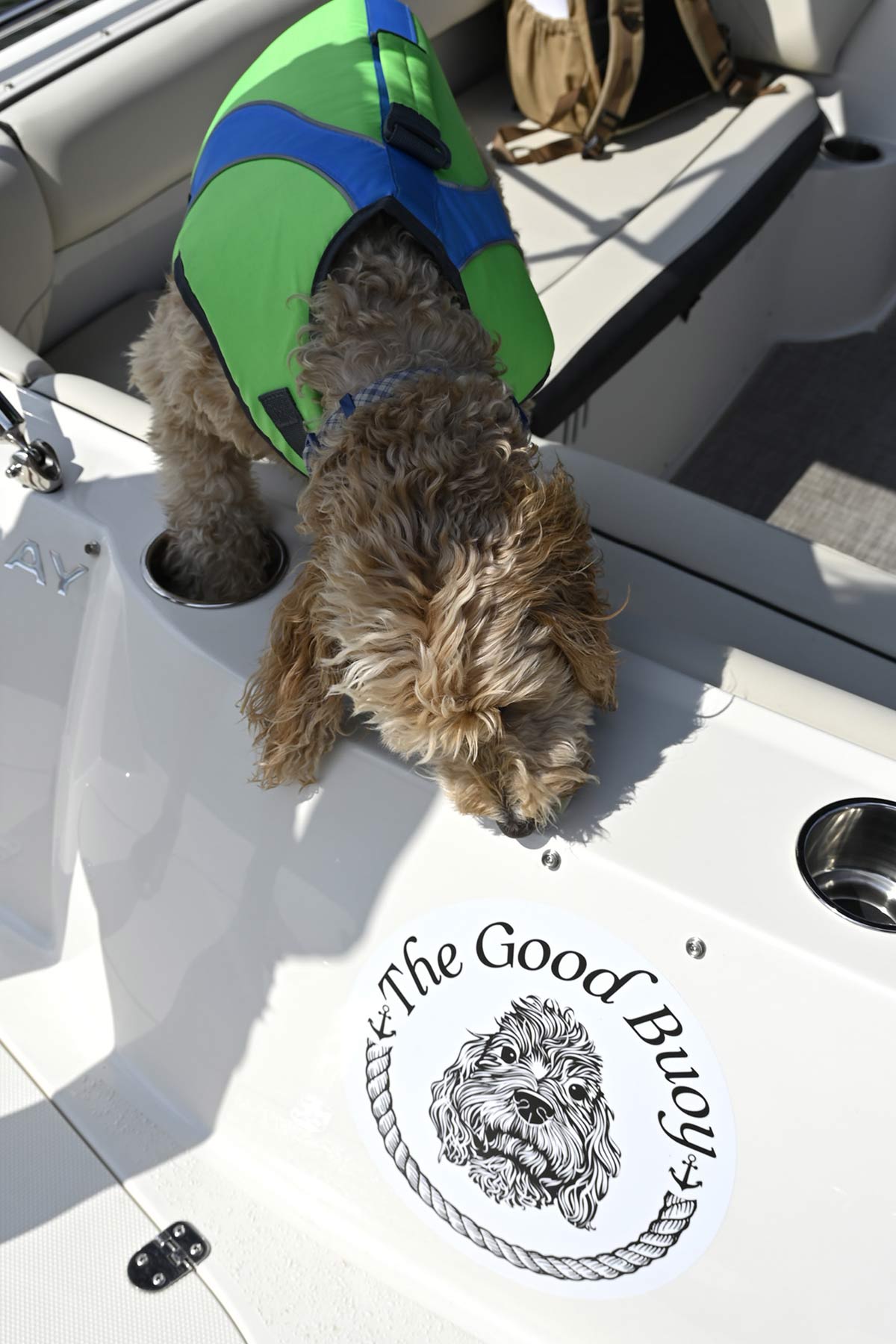 A fluffy dog in a bright green and blue life jacket peers over the side of a white boat at "The Good Buoy" decal, which features a matching illustration of the dog.