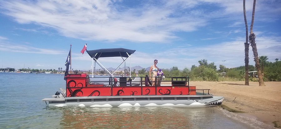 A decorated red and black pontoon boat rests on a sandy beach shore.