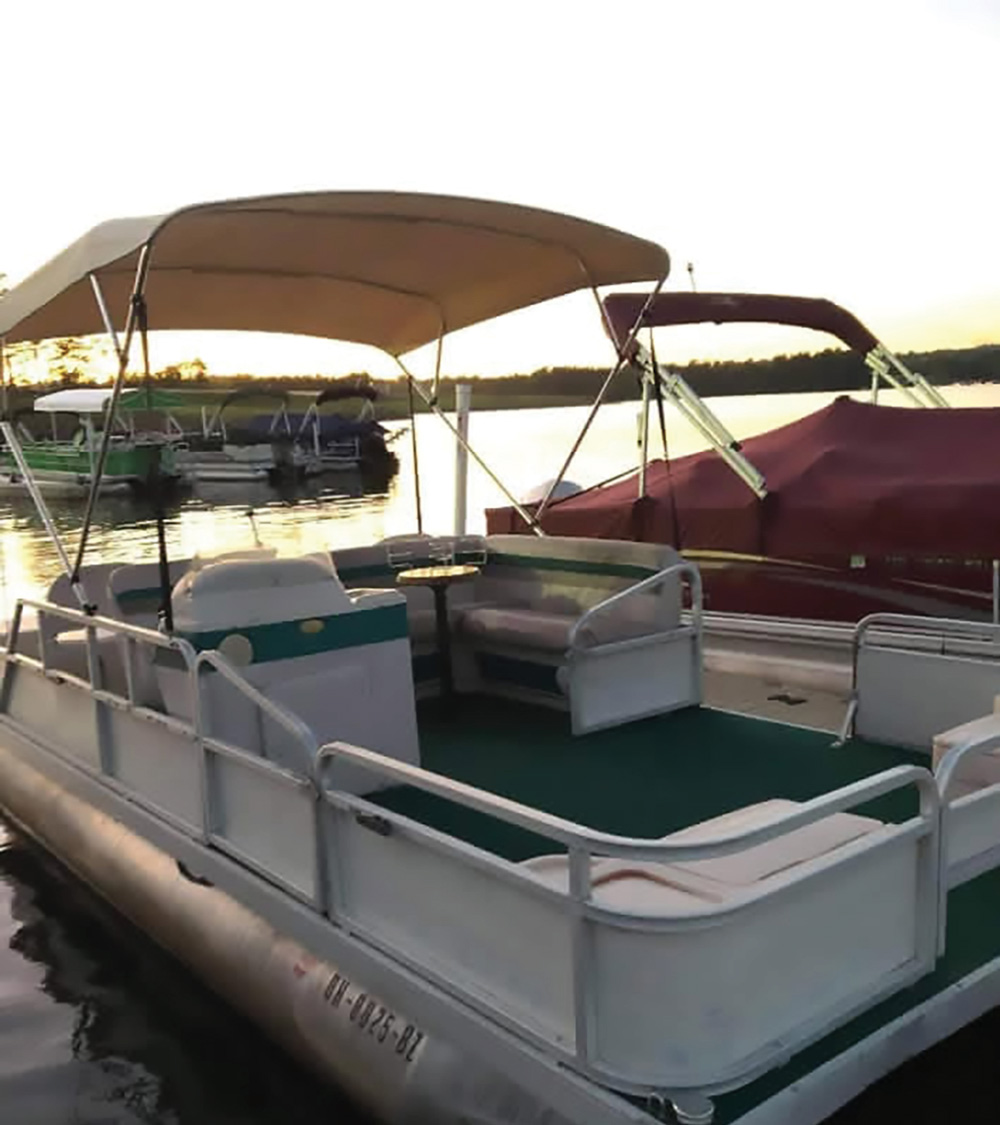 A pontoon boat with a bimini top and green carpet floor docked at water's edge during sunset.